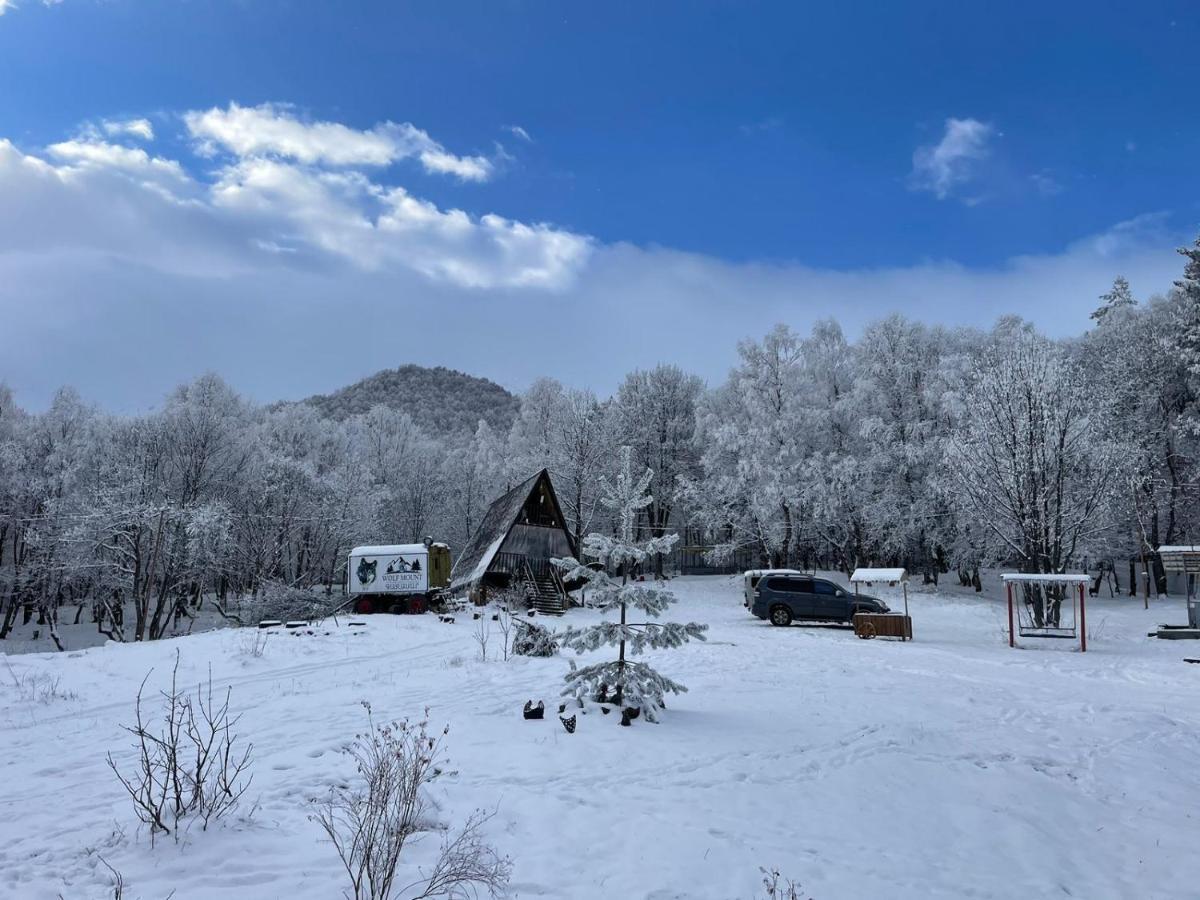 Glamping Wolf Mount Villa Margahovit ภายนอก รูปภาพ